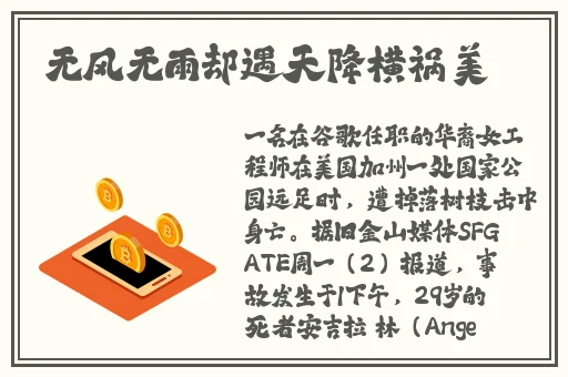 精品BBWBBWBBWBBW